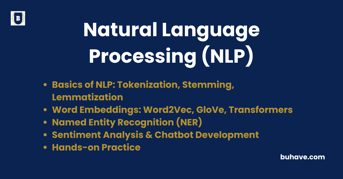 Natural Language Processing (NLP)