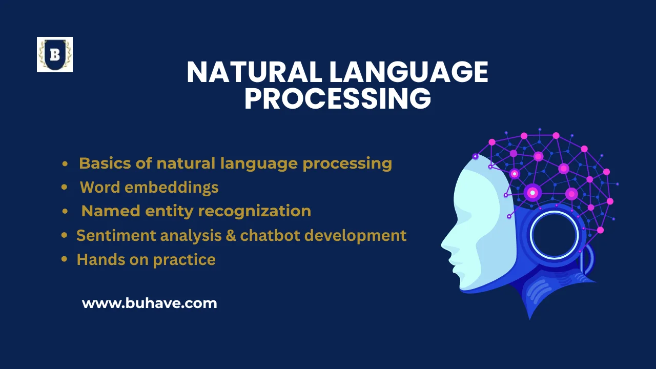 natural language processing