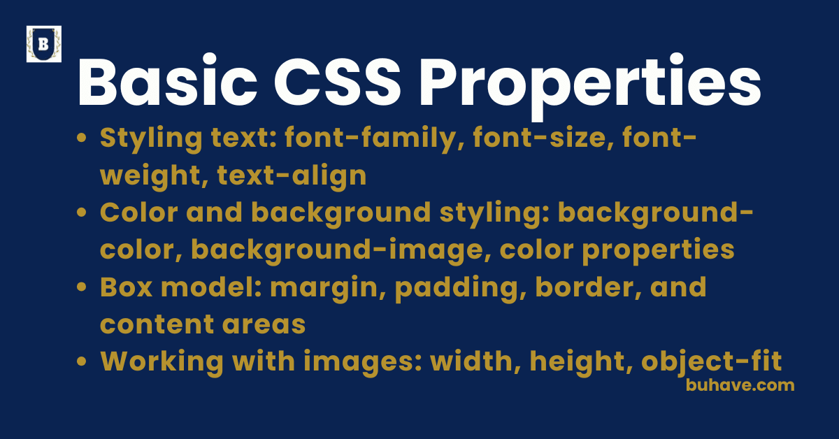 Basic CSS Properties