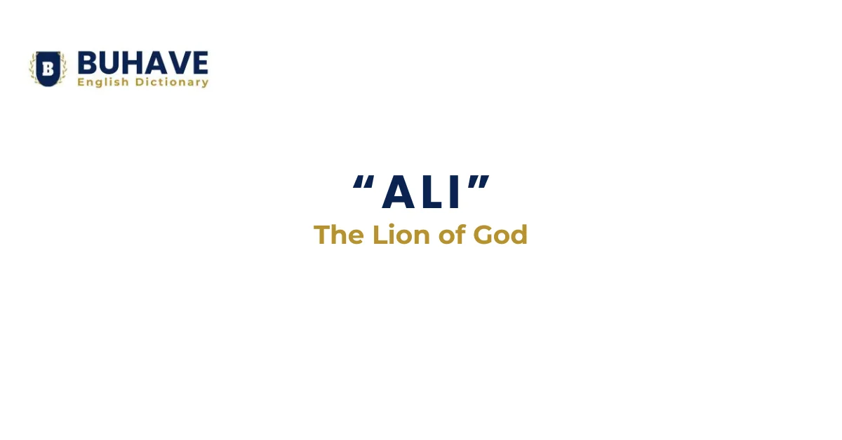 ALI Meaning and Definition