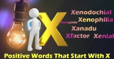 Positive Words That Start With X