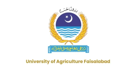 University of Agriculture Faisalabad